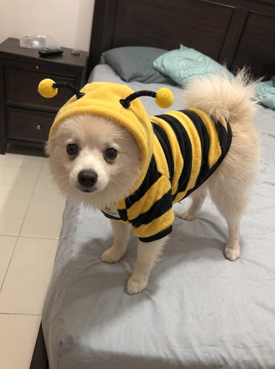 BEEPAW Bee Costume Hoodies